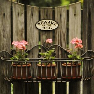 Meet your Posher, Judy